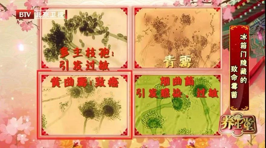 微信图片_20181205115305.jpg