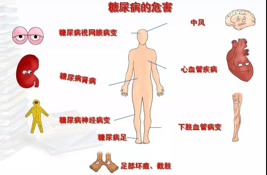 微信图片_20190312111355.jpg