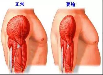 微信图片_20190402110049.jpg