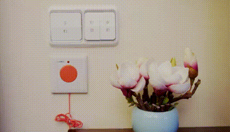 9.gif