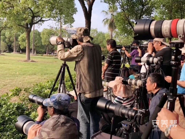 微信图片_20200911091955