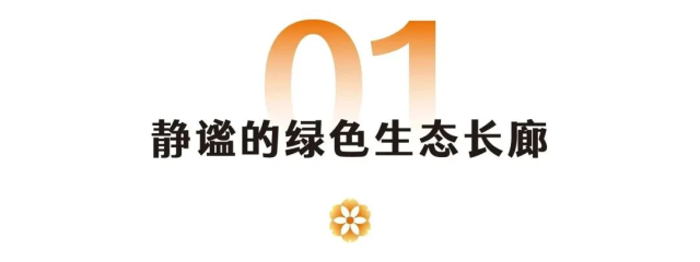 图片 2