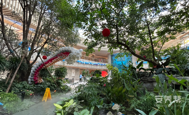 图片 6