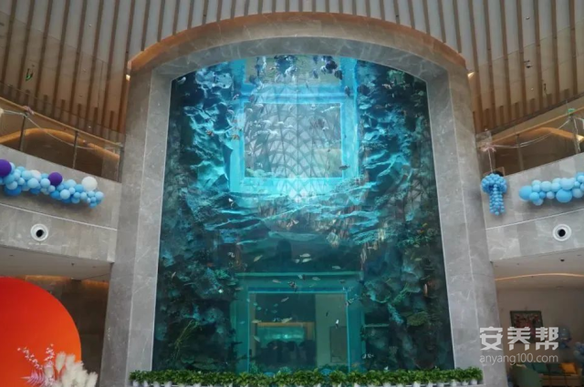 图片 8