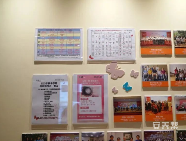图片 28