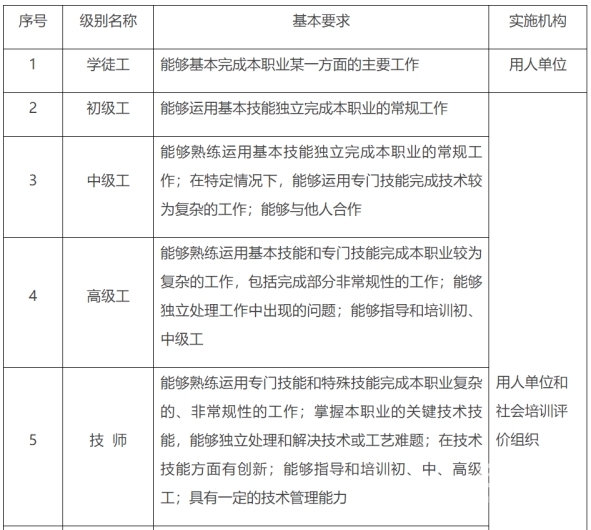 技能1 1744616728615318_19800.jpg