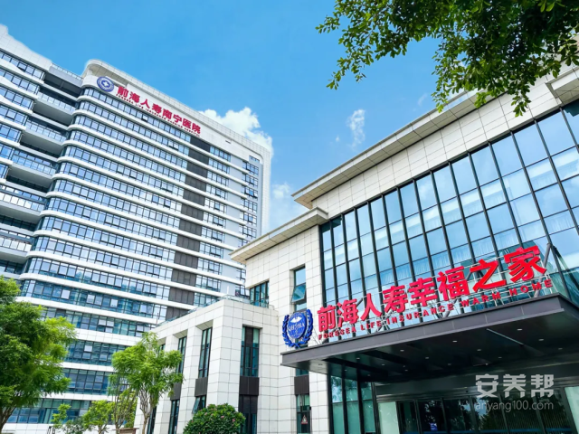 图片13