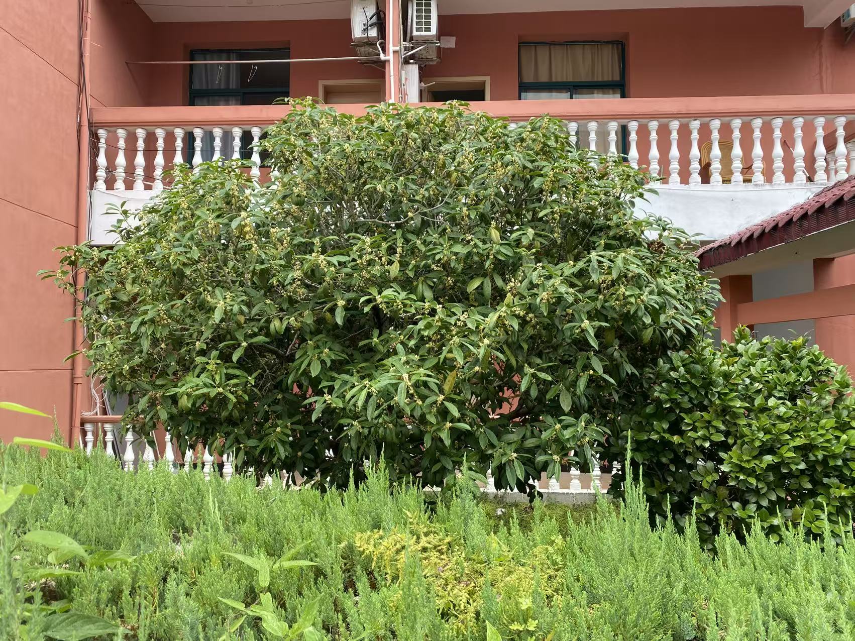 微信图片_20251031090450_71_2