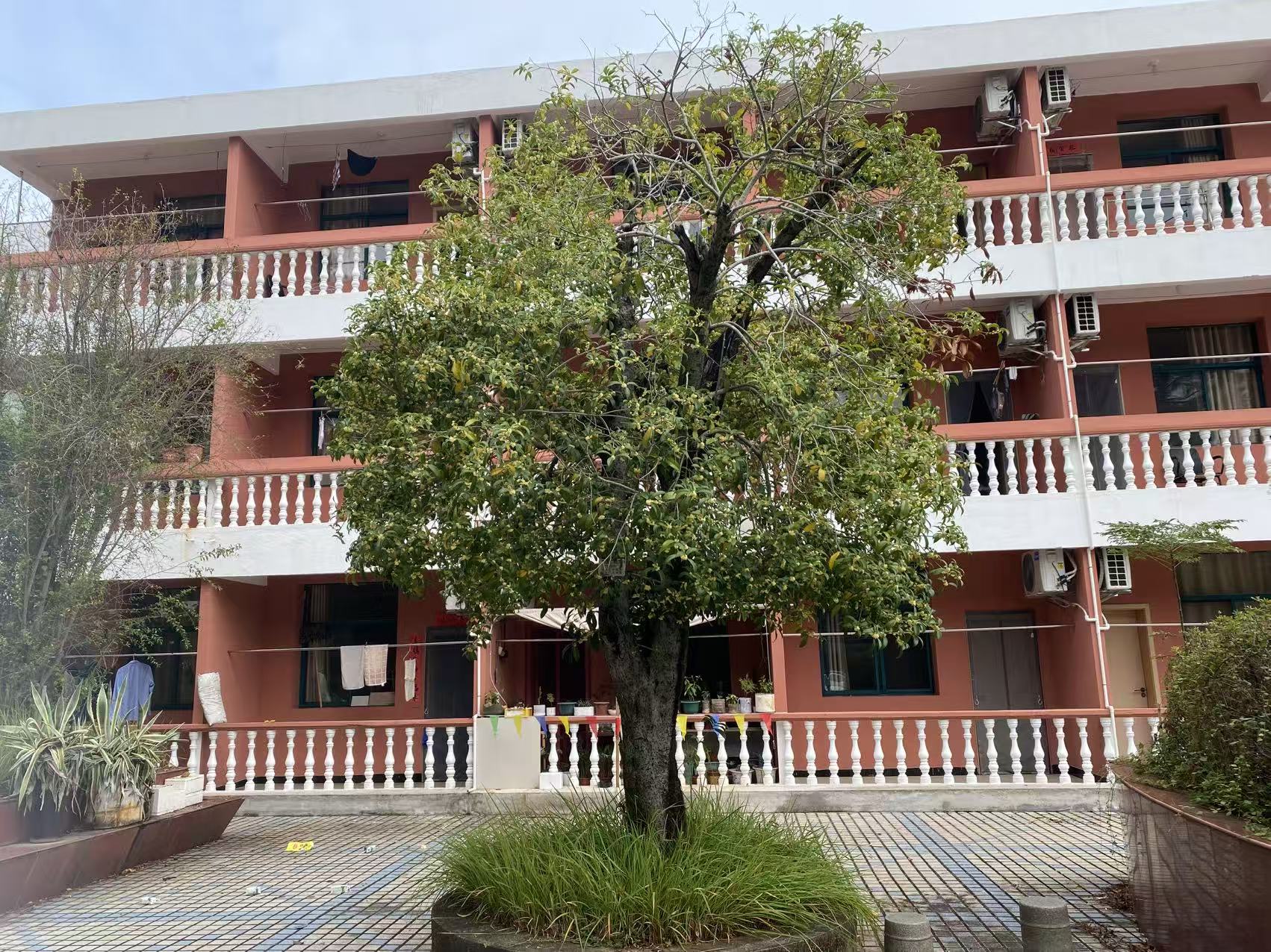 微信图片_20251031090507_74_2