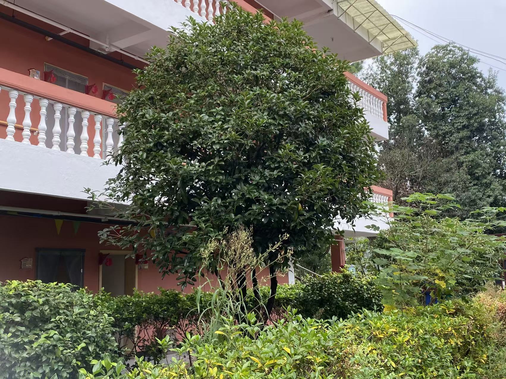 微信图片_20251031090525_78_2