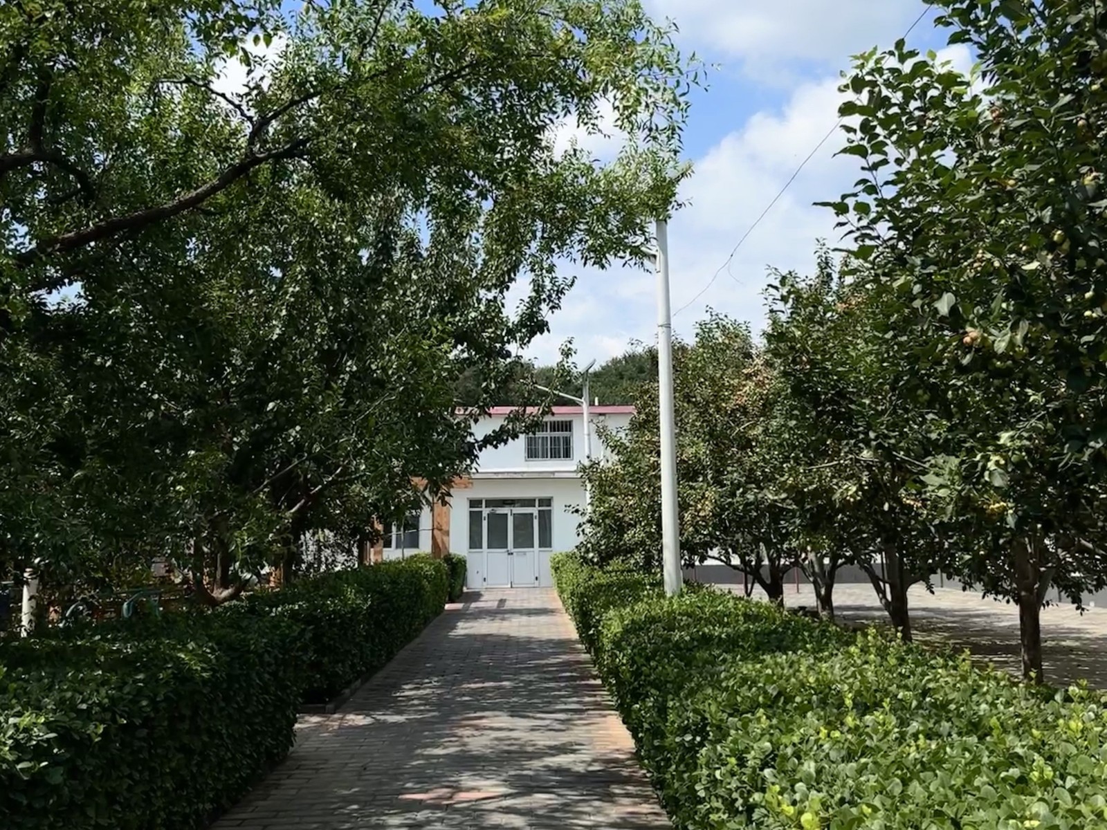 拱辰1