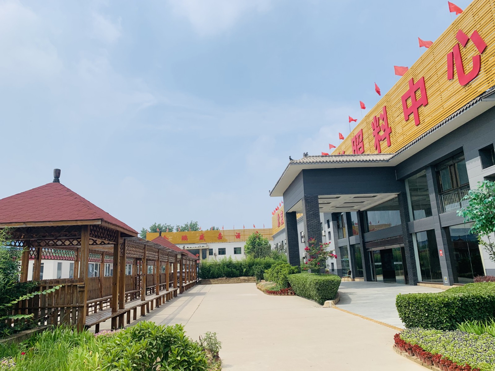 丰台区看丹1 丰台区看丹1