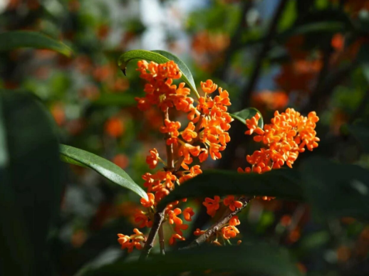 360截图20251117165852