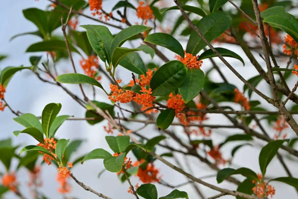 360截图20251117165903