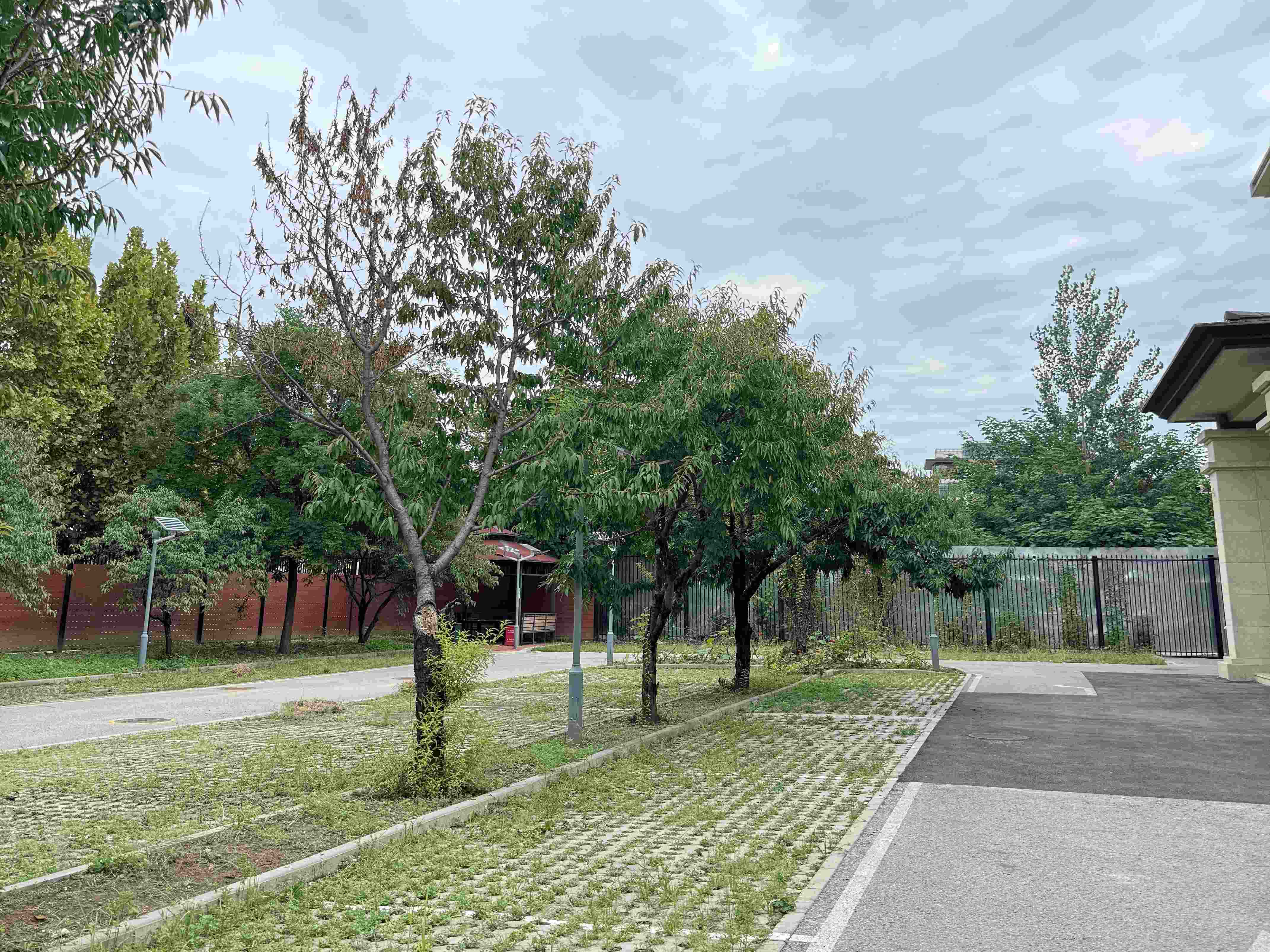 兰庭养老照料中心4 兰庭养老照料中心4