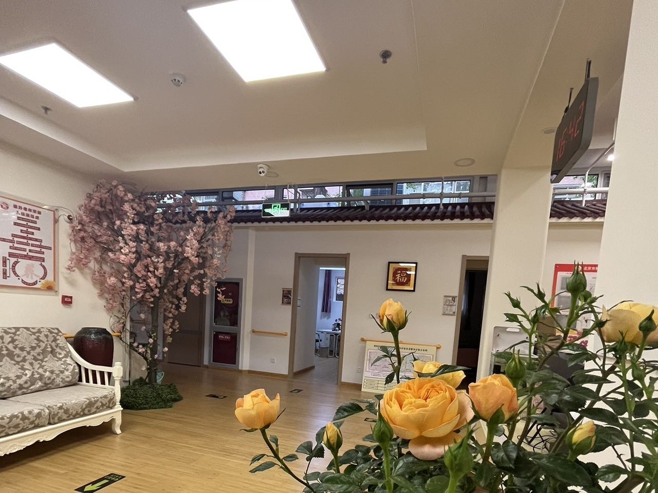 建外老年家6 建外老年家6