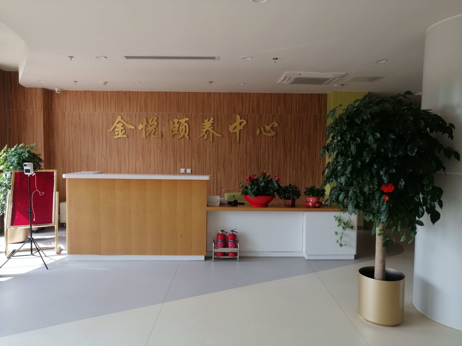 金悦4 金悦4
