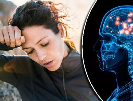 更年期与阿尔茨海默病的关联