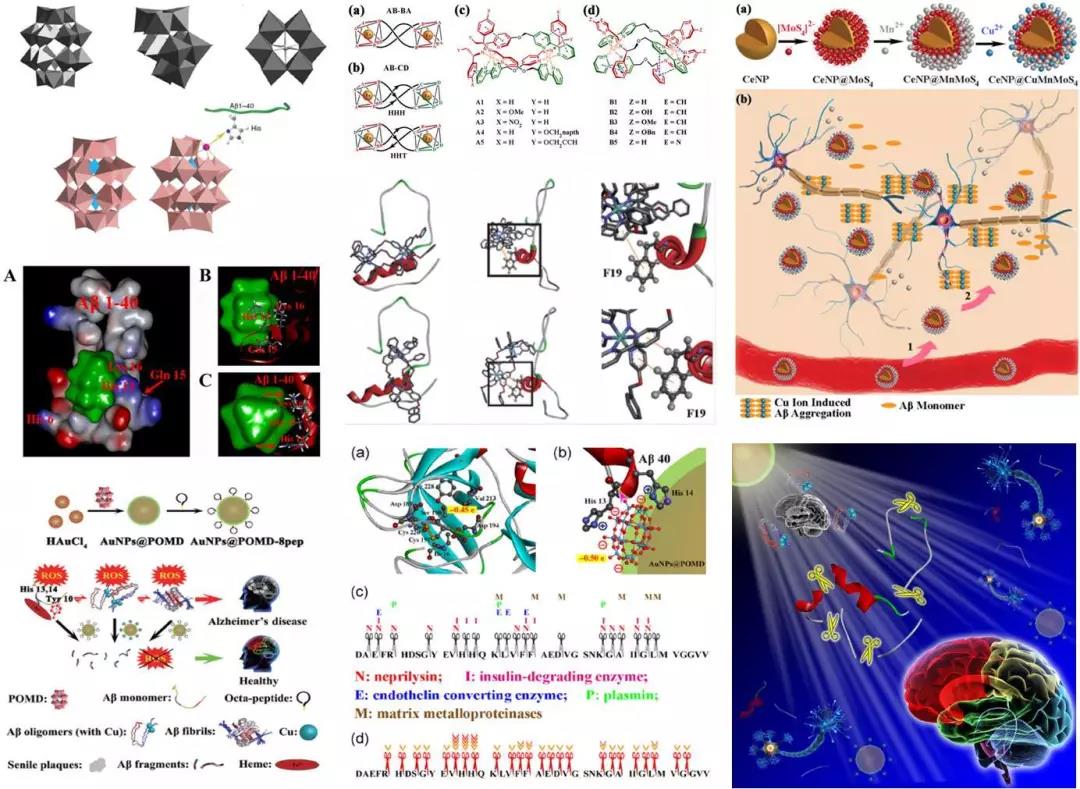 高楠｜洗白苏大强的阿尔茨海默症，只有一个黄金治疗时间