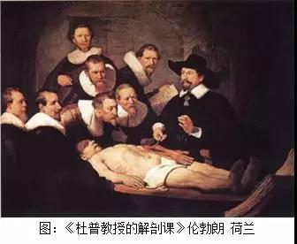 罗点点：医疗为什么要“缓和”？