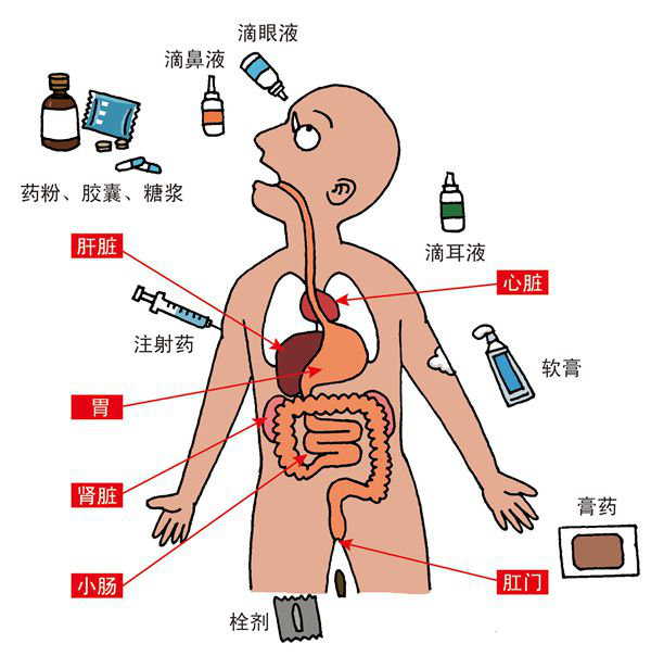 普亲长照小知识｜药物的功效和作用