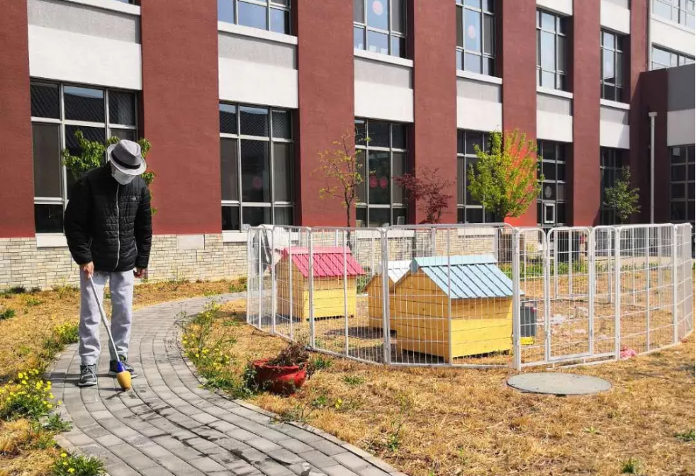 认知症专栏丨认知症老人的反常行为，尝试这样干预~