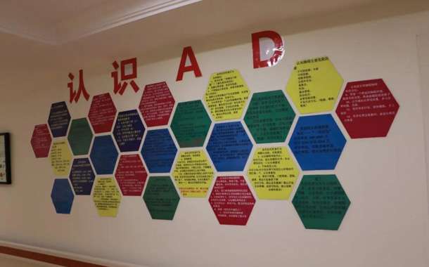 远洋·椿萱茂“忆路实习专刊”