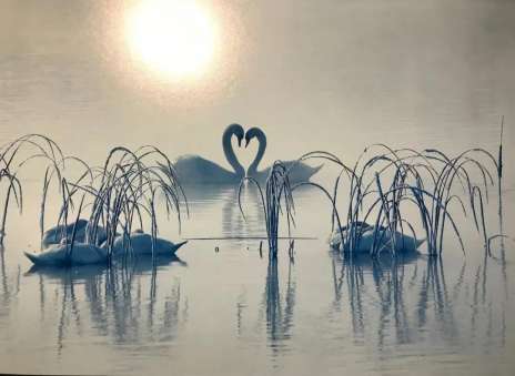 认知症专业机构里的缓和照护和临终关怀服务-案例