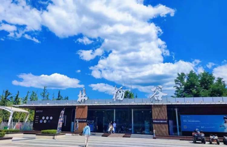 汇晨康养林栖谷森林康养旅居中心