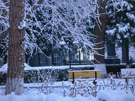 初雪将至！这份“暖心攻略”请查收~