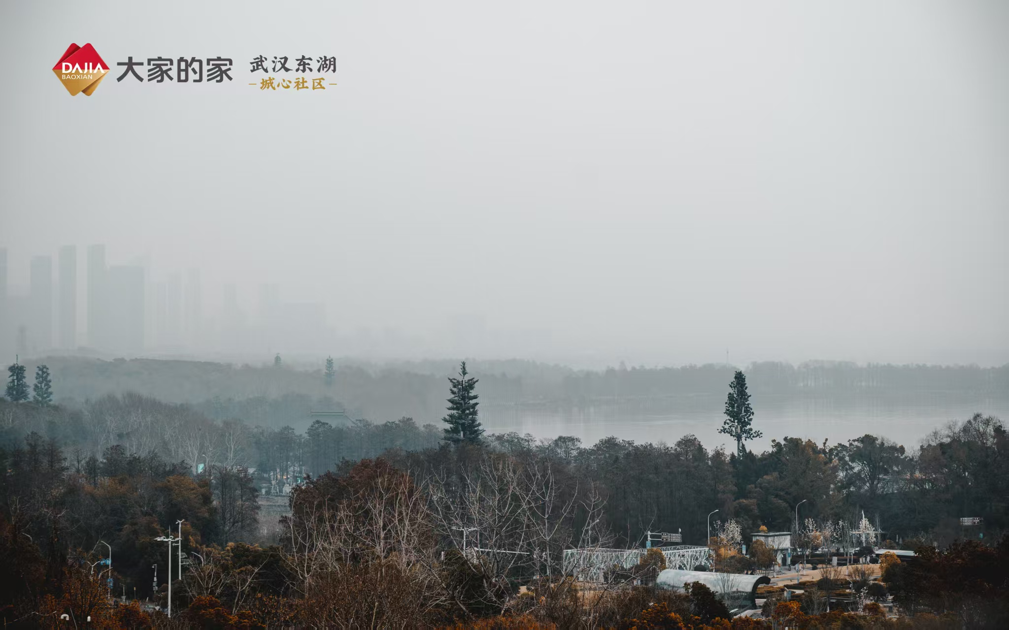 武汉示范区茶室看东湖