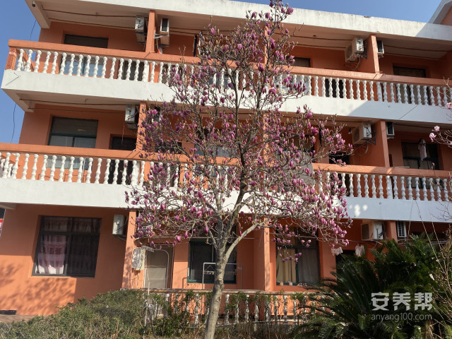 微信图片_20260223093117_228_2