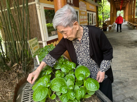 360截图20260312155625