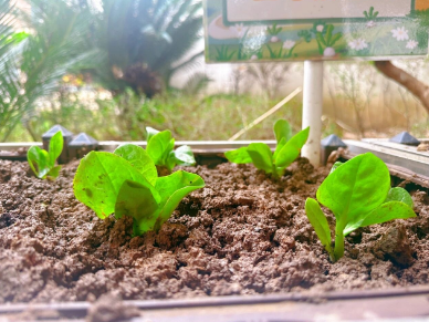 360截图20260312155724