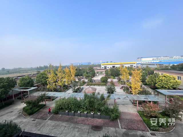 图片1 图片1
