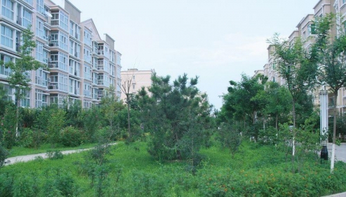 北京太阳城银龄老年公寓环境图片