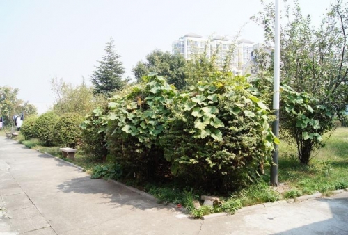 南京市建邺区兴达老年公寓环境图片
