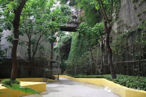 重庆市渝中区红叶敬老院环境图片