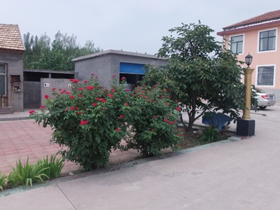 淄博市周村区保健养老护理服务中心外景图片