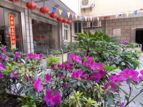 上海静安郁金香颐养园外景图片