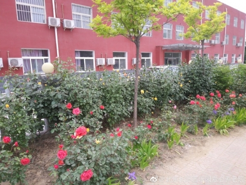 北京市房山区普乐园爱心养老院环境图片