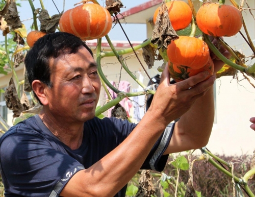 唐山市滦南县胡各庄镇敬老院老人图片