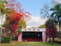 深圳市任达爱心护理院环境图片