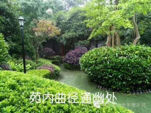 郫县平乐老年康乐苑环境图片