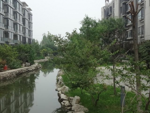 北京礼爱老年看护服务中心		环境图片