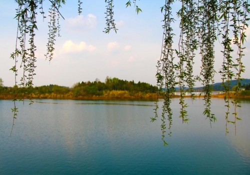 绵阳益康老年护理院外景图片