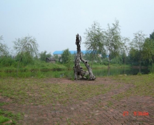 梅河口市生态园老年公寓环境图片