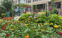 沈阳市皇姑区居家型护理院外景图片