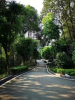 重庆市巴南区狮子山老年公寓外景图片