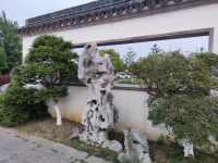 颐善康养护理（苏州）有限公司恺悦养老院环境图片
